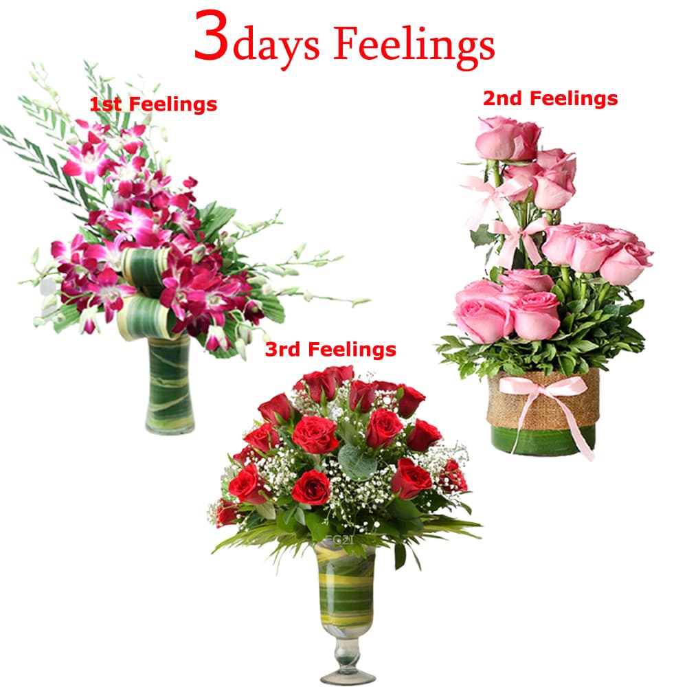 Three Days Emotions
