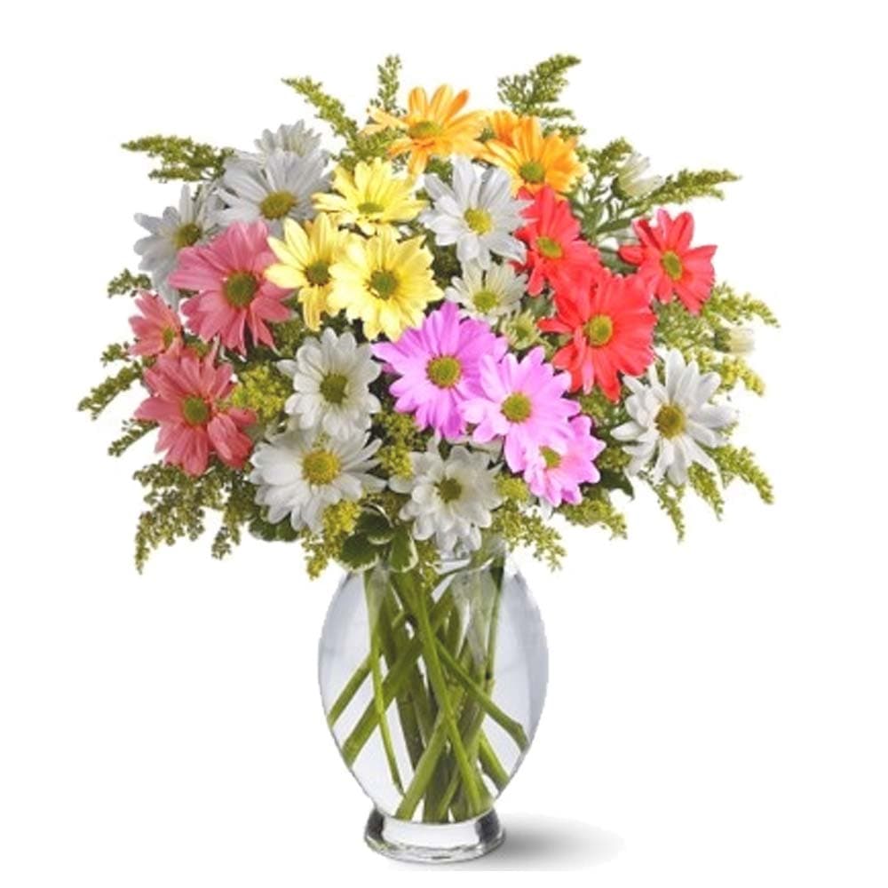 Mixed Daisy Bouquet