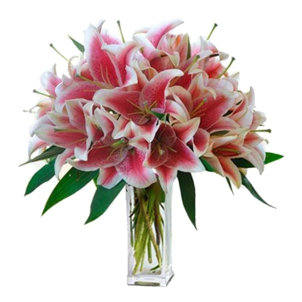 stargazer lilies