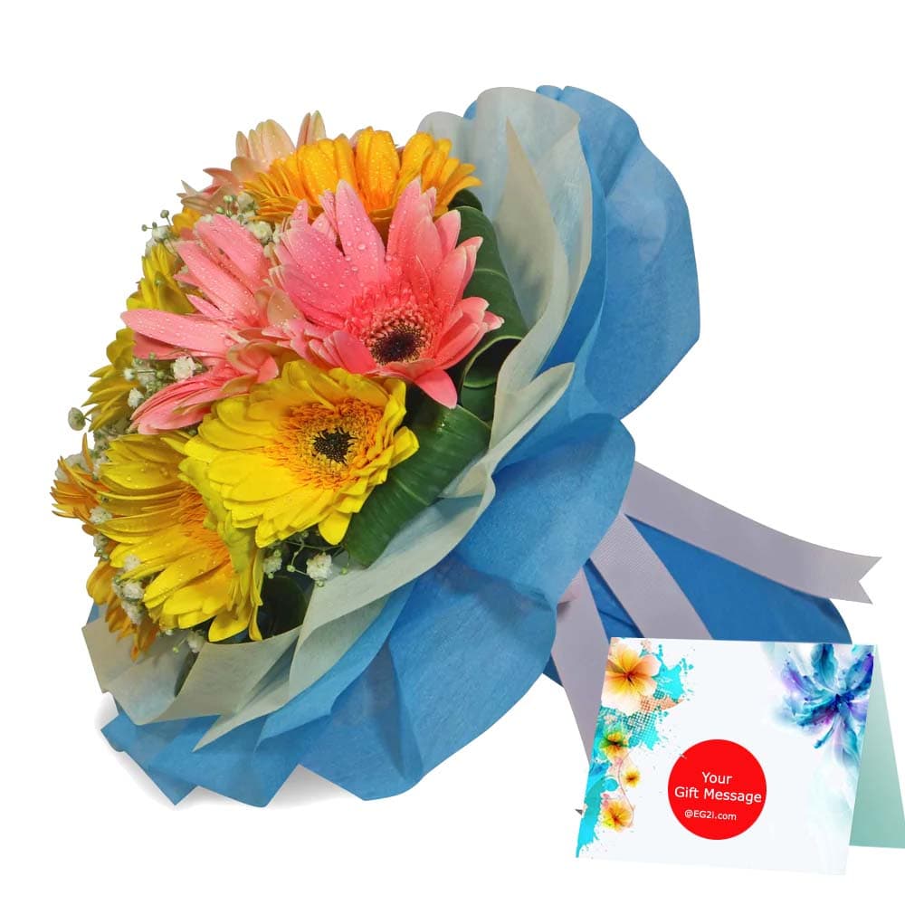 20 Mixed Gerbera in Way