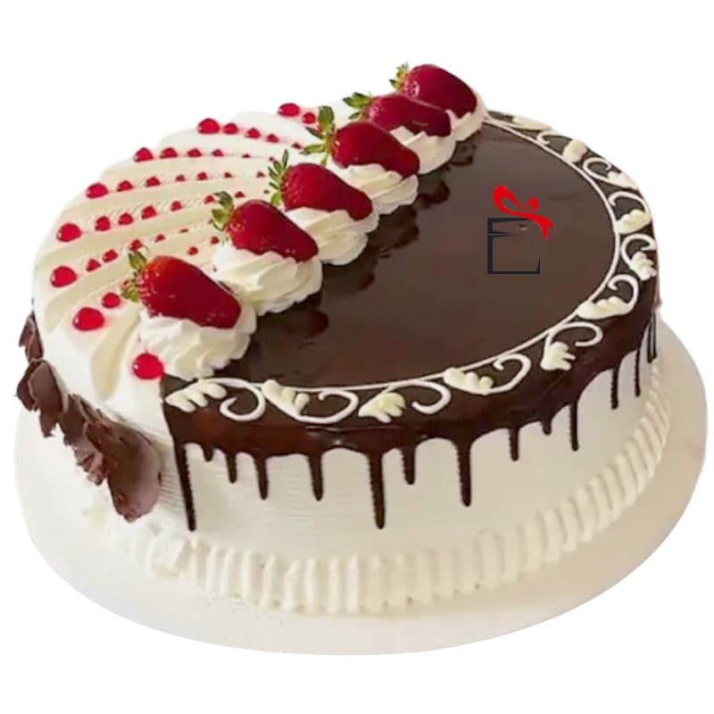 Divine Cocoa Delight