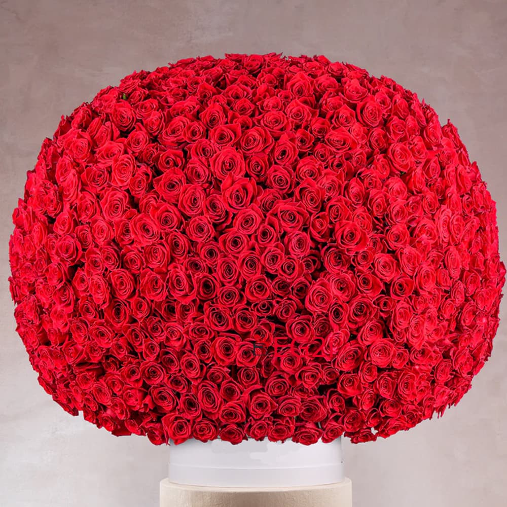Rose Reverie