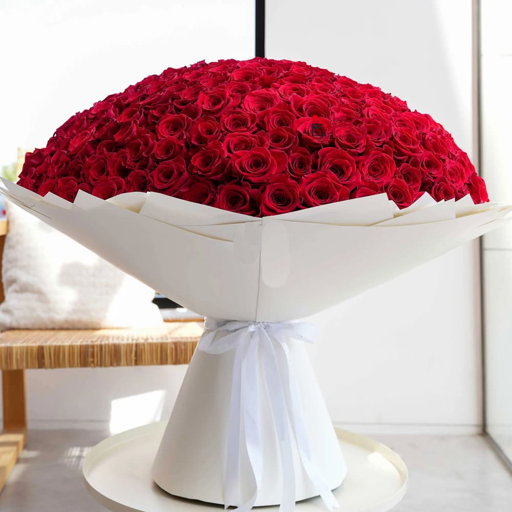 Velvet Bloom
