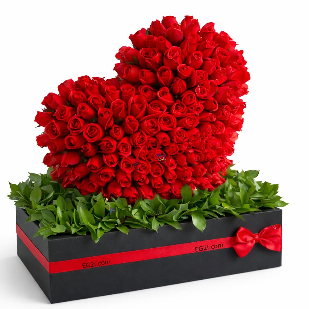 Rose of My Heart