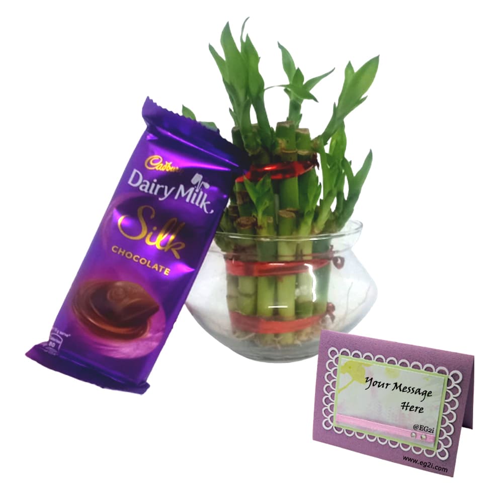 Lucky Bamboo with Silk