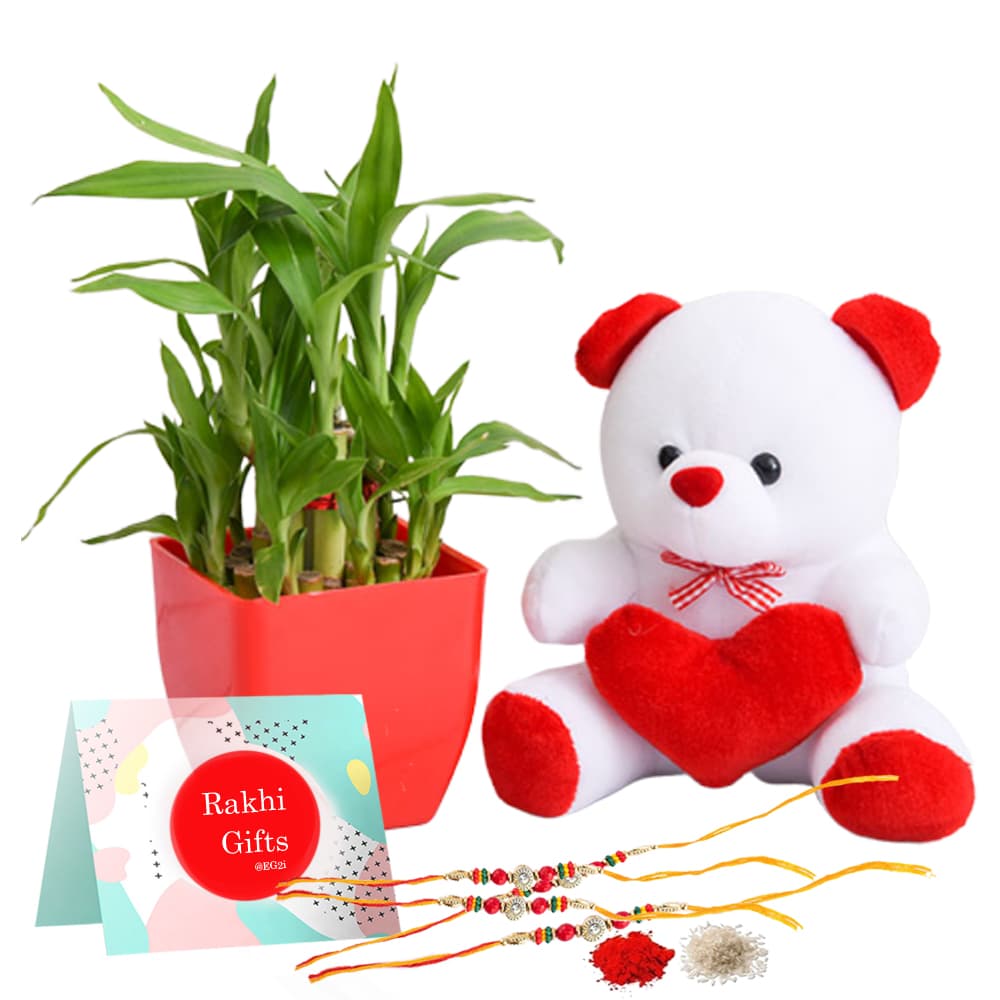 Two Layer Good Luck Plant with Teddy bear and Rakhi