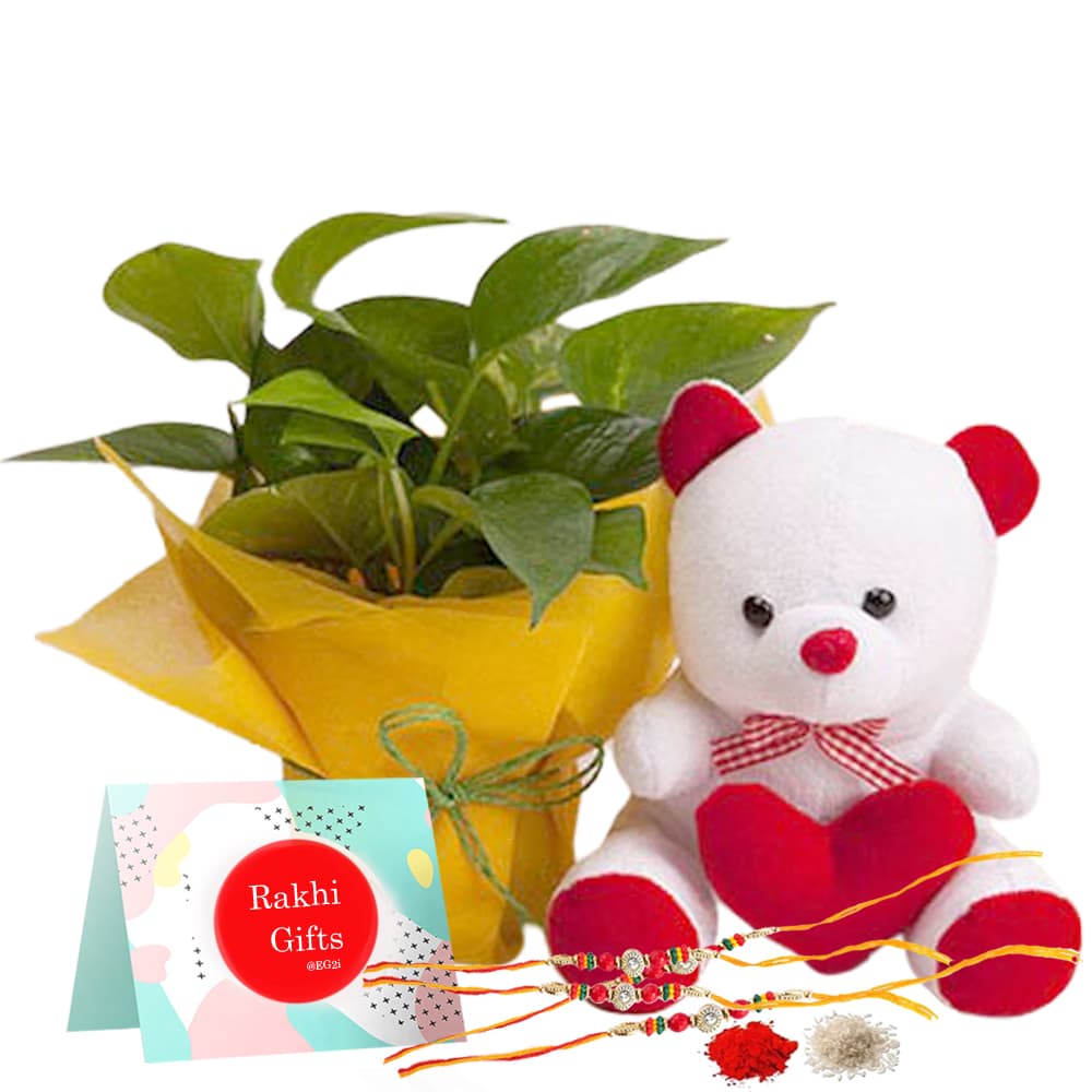Money plant with 6inch White Teddy bear and Rakhi
