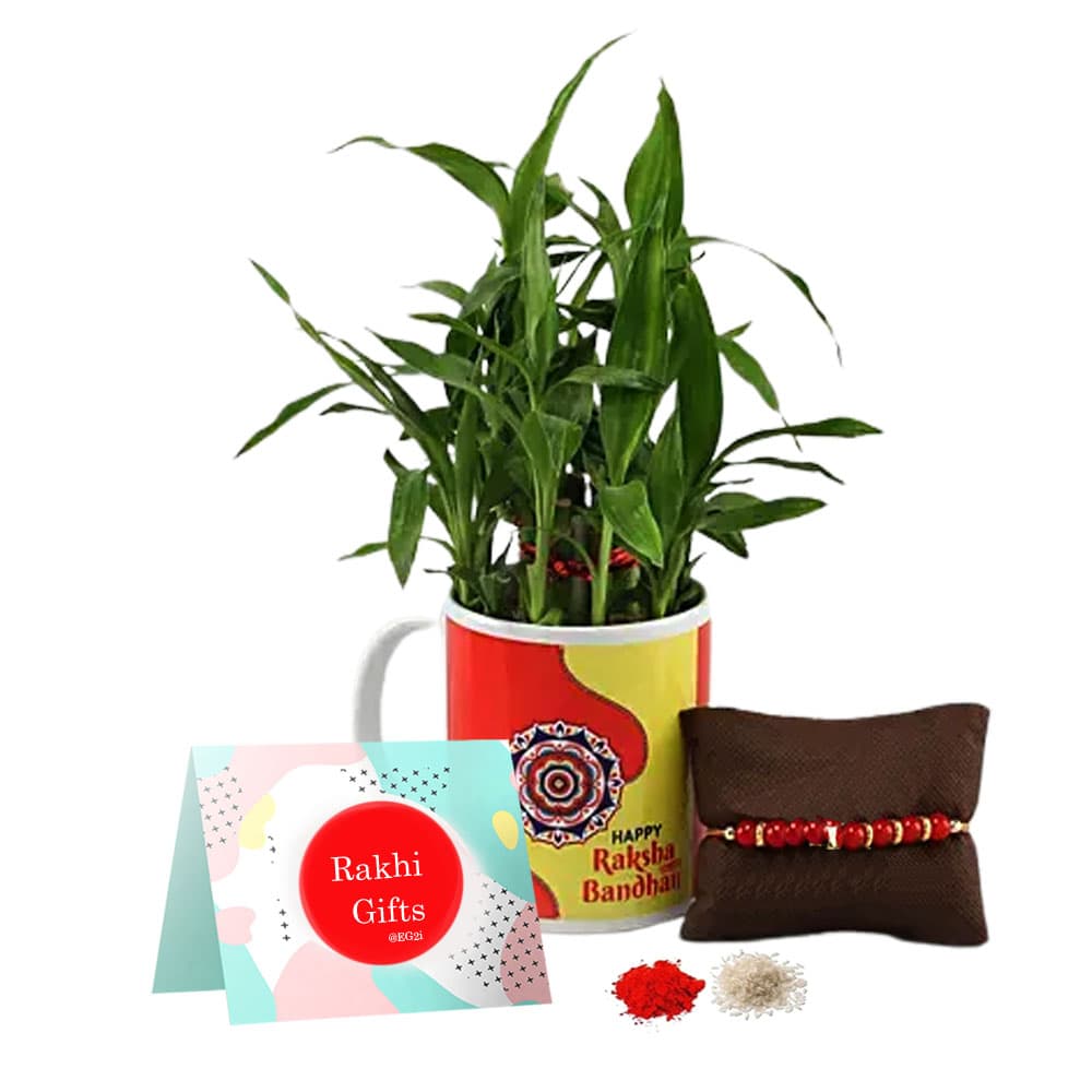 Good Luck Plant with Personalised Mug And Rakhi