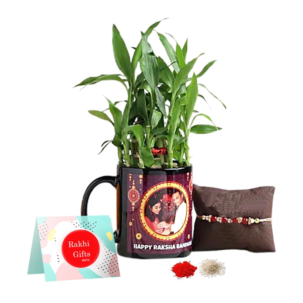 Good Luck Plant with Personalised Black Mug And Rakhi
