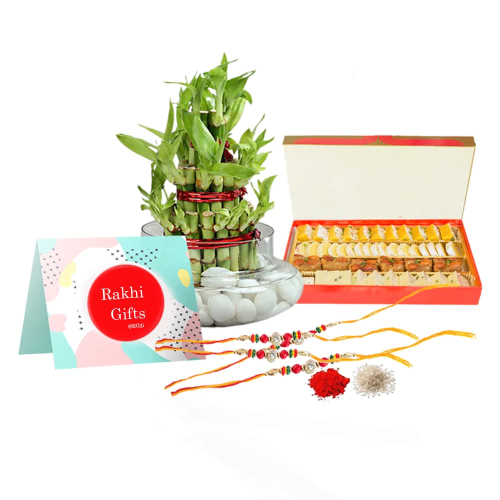 Good Luck Plant with Mixed Sweet Box and Rakhi