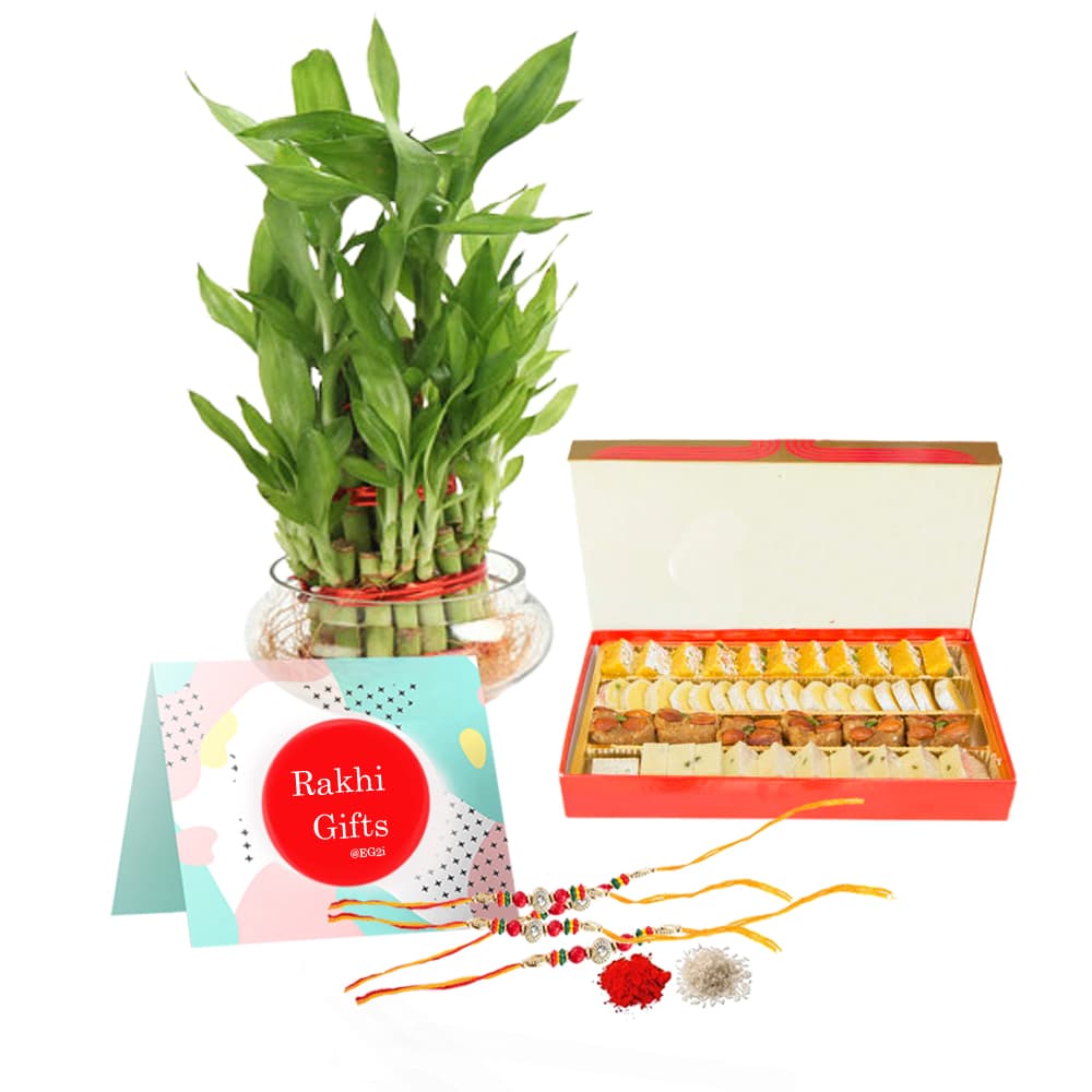 Good Luck Plant Two Layer with Mixed Sweet Box and Rakhi