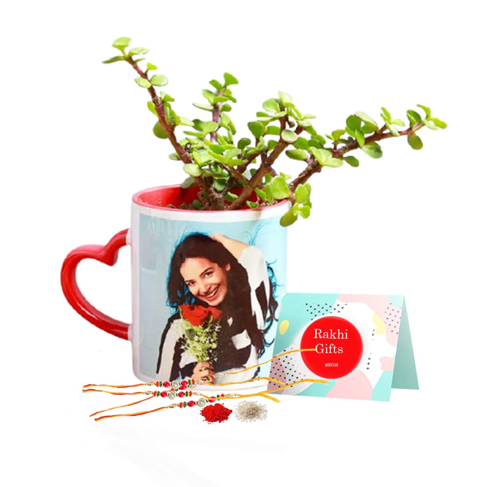 Jade Plant with heart handle Personalised Mug and Rakhi