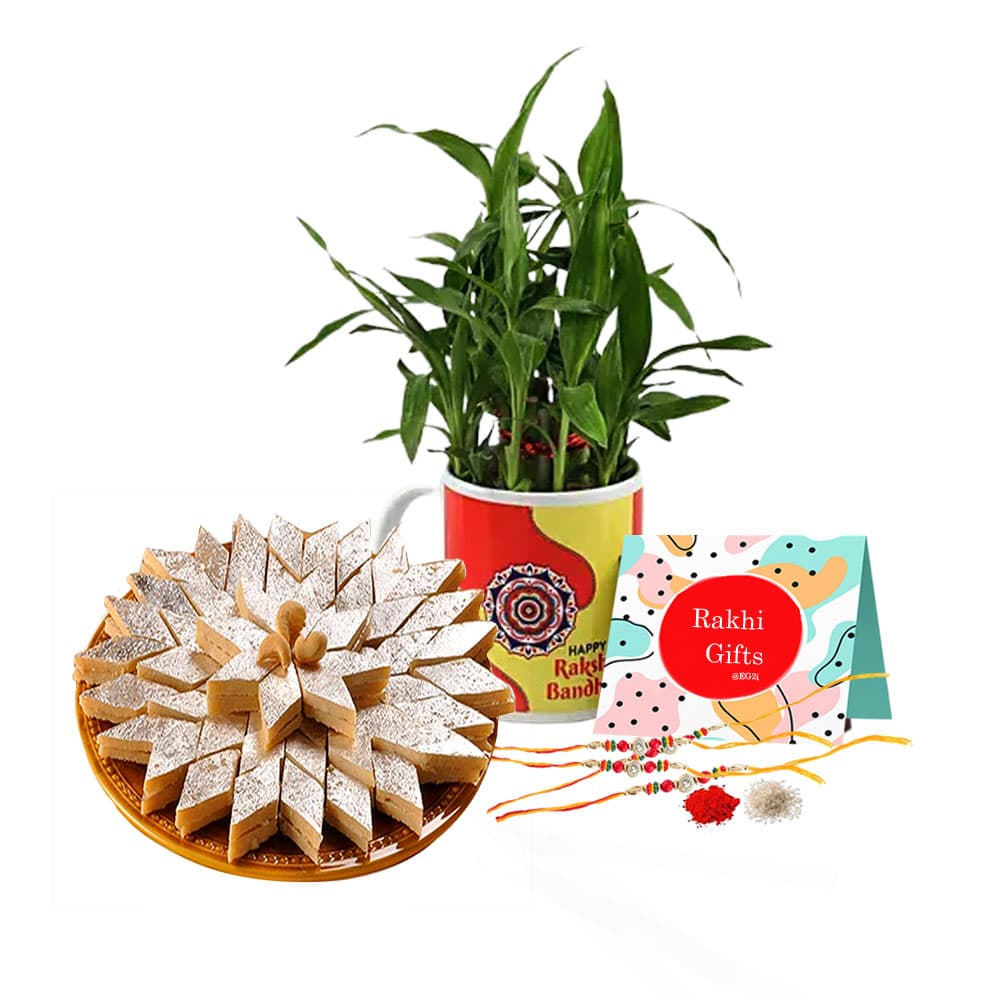 Good Luck Plant with Personalised Mug, Kaju Barfi And Rakhi