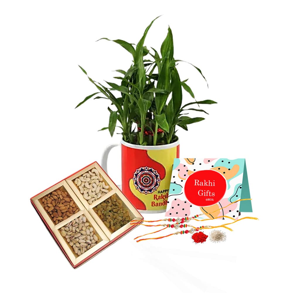 Good Luck Plant with Personalised Mug, Mixed Dry Fruit And Rakhi