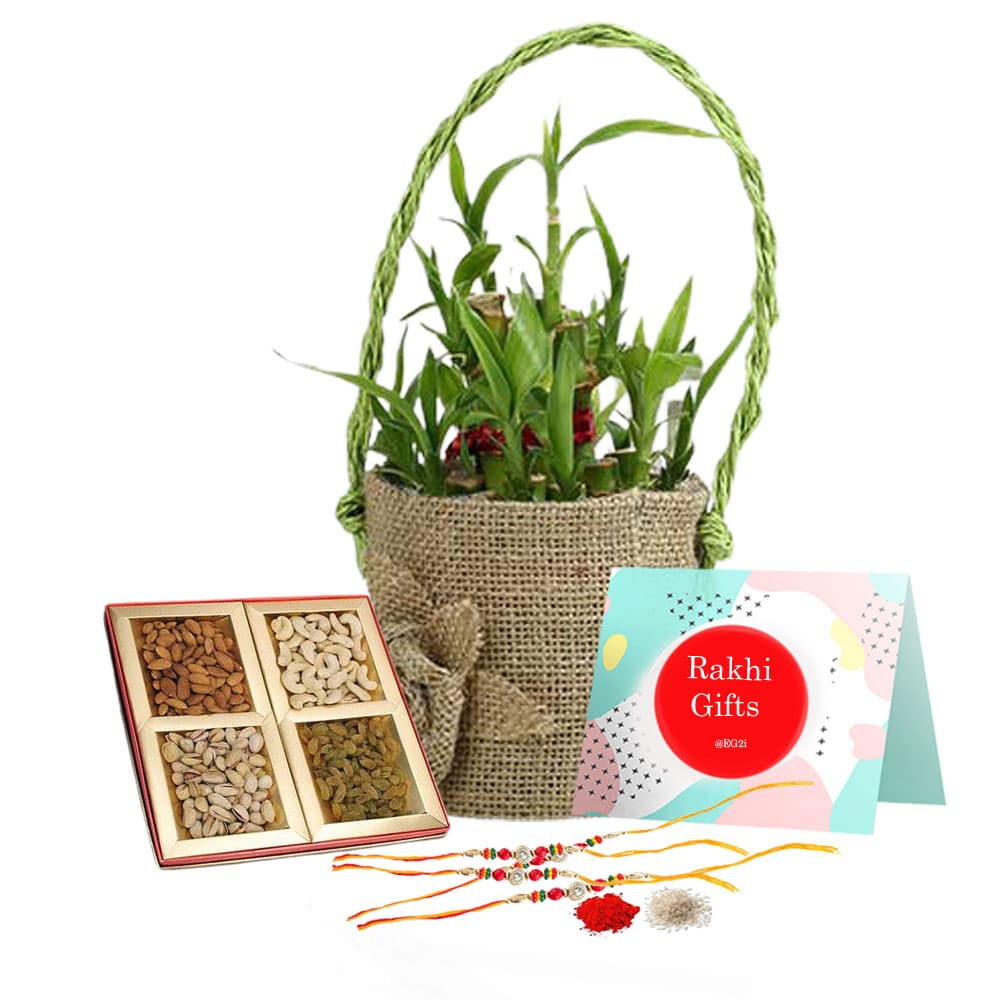 Good Luck Plant with Rose Jute Bag, Mixed dry Fruits and Rakhi