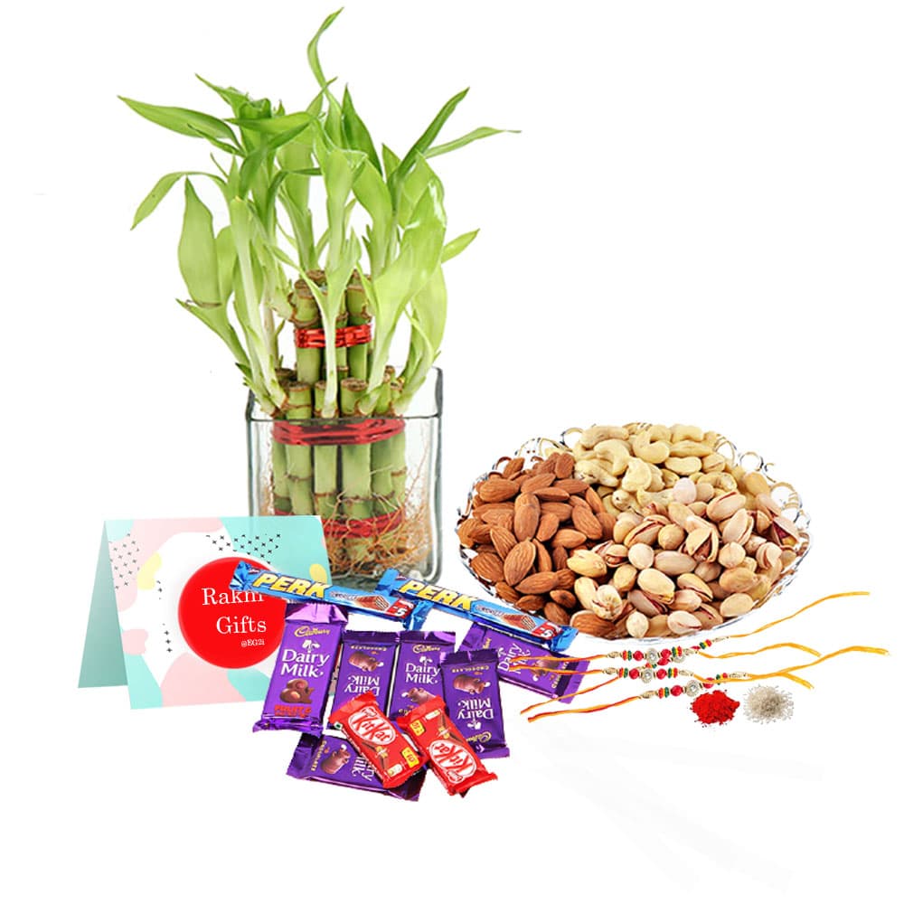 Good Luck Plant with Chocolates and Mixed Dry Fruits and Rakhi