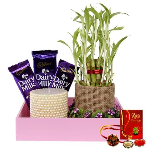 Plant with rakhi combo